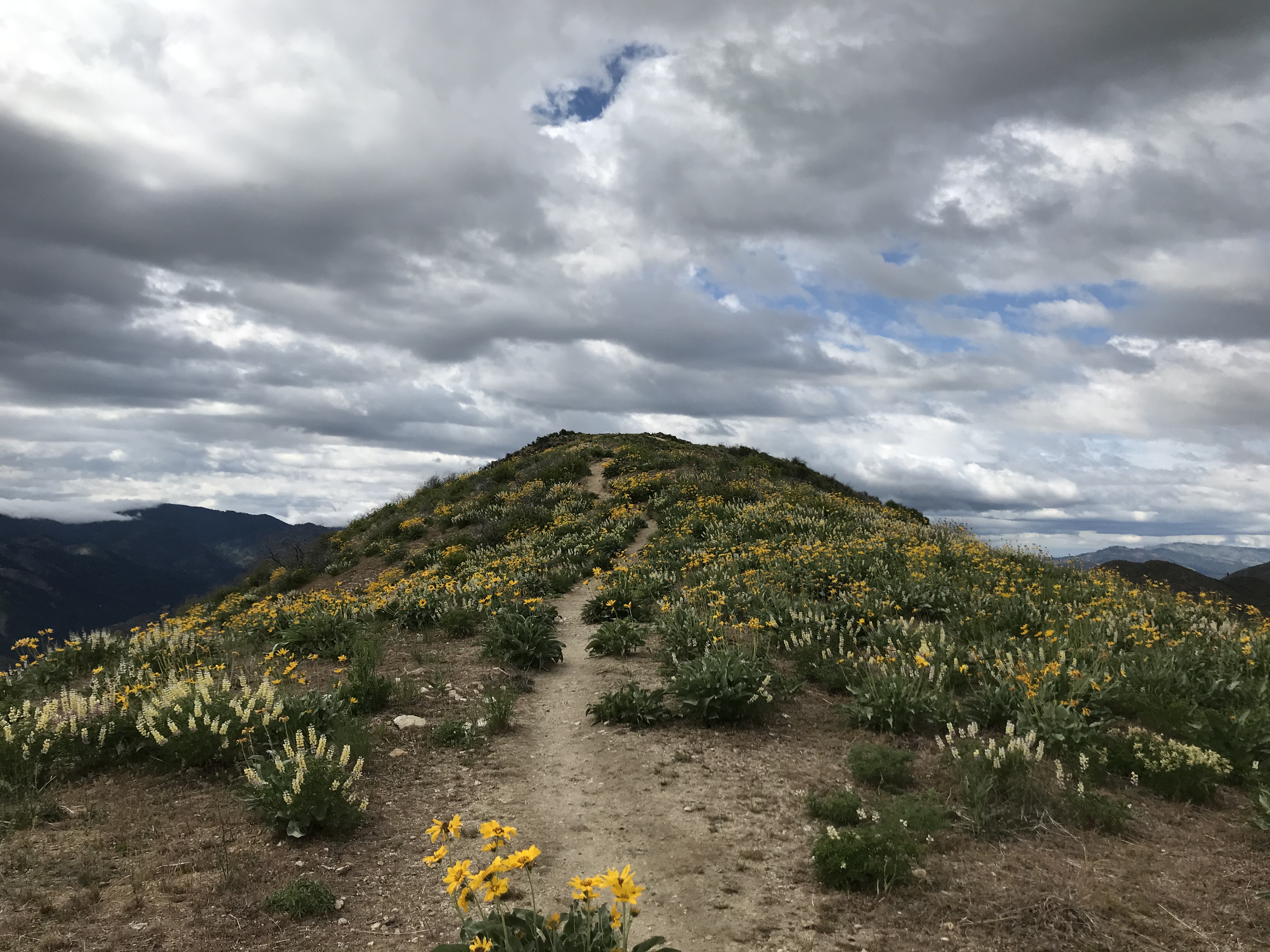 Exploring Boise's Wilderness