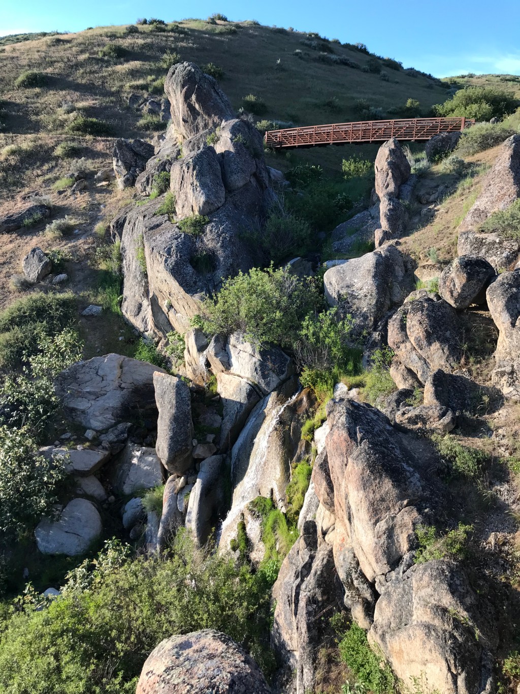 My Favorite Hikes in Boise’s Ridge to Rivers Trail&nbsp;System