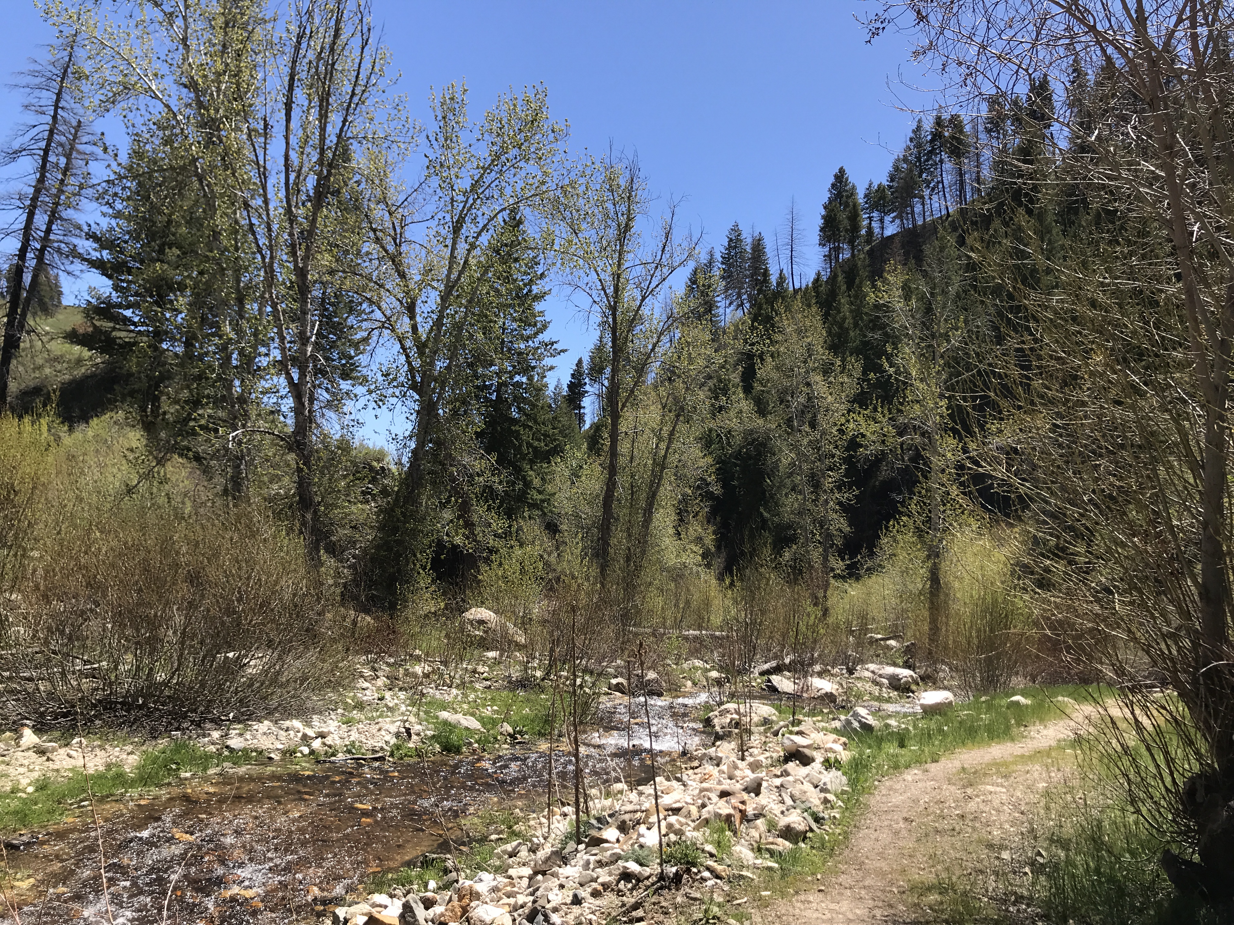 Wilson Spring Loop Paved Wilson Flat Loop – Exploring Boise's Wilderness